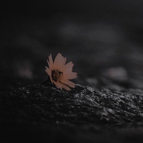 عشق فقط سه حرفه تو پر حرفی عشق باید بصرفه تو خود منفی