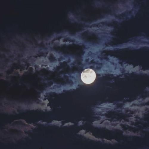 BiBi Scott And Zelda