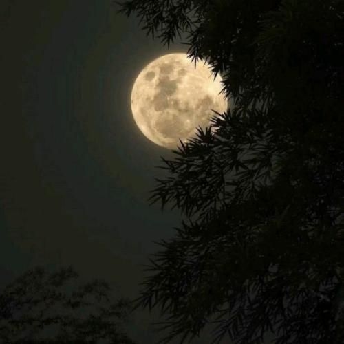 ترکی فقط من موندم فقط من موندم توی خلوت شب