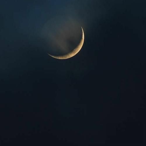 بذار همه بگن اشتباهه من که بها نمیدم من فقط تو رو میبینم