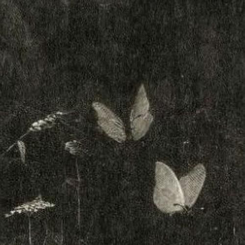 این دنیا نداره رحم عزیزم توام سخت نگیر پس