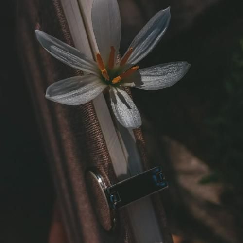 خودمون بسه همیم این دنیا آدماشو ولش کن