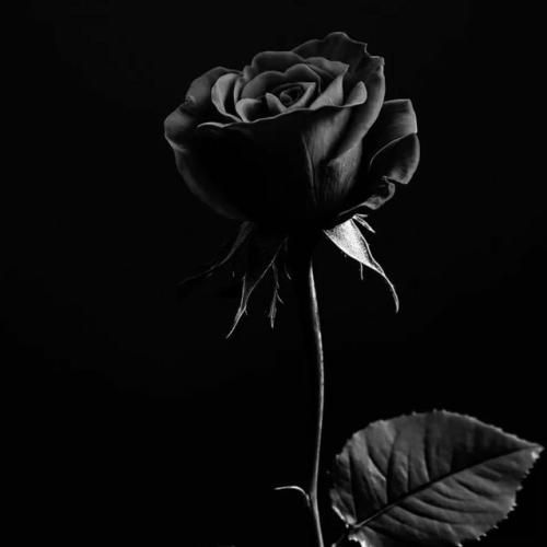  ته دلمم خاموش شدش و نموند چراغی