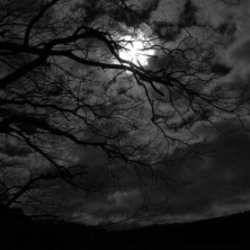  همه چیم پلنه ماس پلنت ماس بریم خیلی وقته تک و تنها نبودیم ما