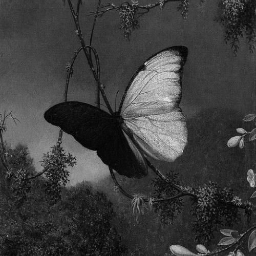  برگرد بیا نجاتم بده زودتر بیا به دادم برس