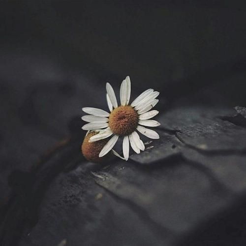  ساعت نهه داره حاضر میشه الان چون پنجشنبس