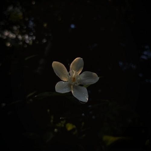 ولی بلد نیست کنه خیلی اکت میپزیم تو ماشین