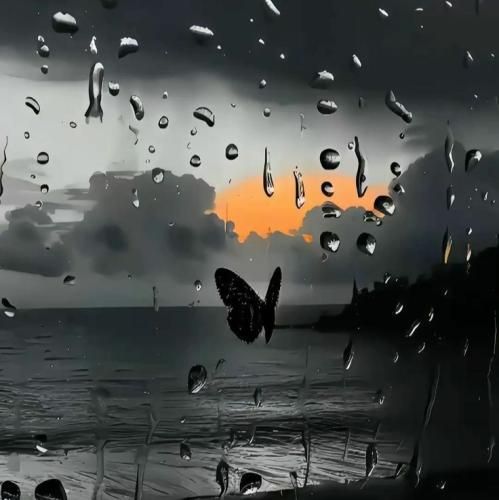  شنیدم میگن عشوه بلدی مثل نگار تو عشق ابدی