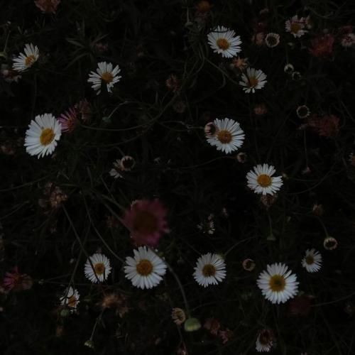 این خیابونا سردم من تنهایی غرقم شب