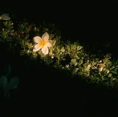 هی آب جاری نمیگنده آبشار میشه اگه نترسه