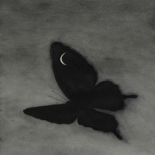  توی هر گوشه این شهر دارم از عشق تو یادی