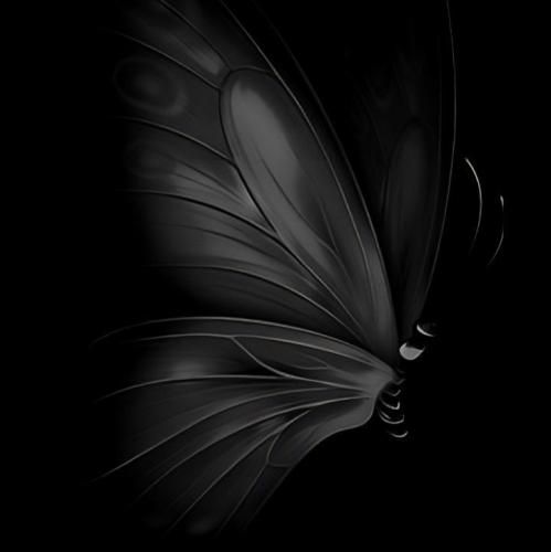 عزیزم پاشو با من برقص گل من پاشو با من برقص