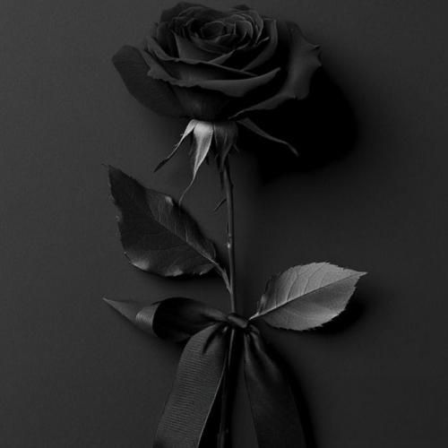  سر رو پای مادرم در رو زدن محکم یهو نگاش کردم