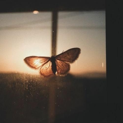 اون ستارمونه حال من و تو رو خوب میدونه