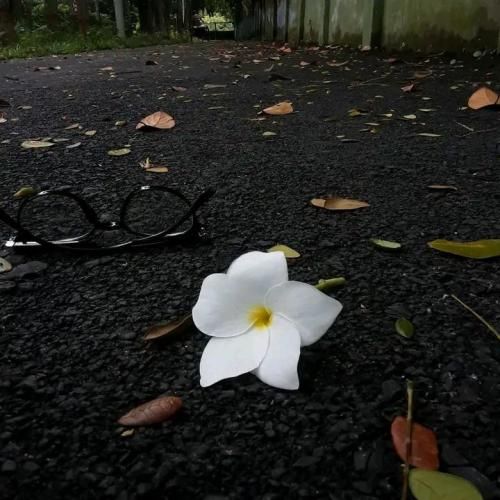  رفیقام همه بام میرسیم دم کلاب دافیا سر حال