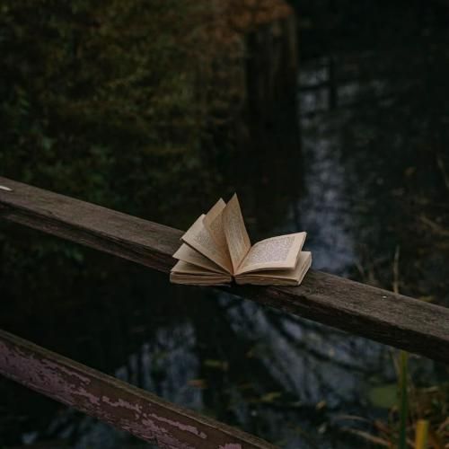 دوباره تابستونه این شبا رو نمیمونیم خونه