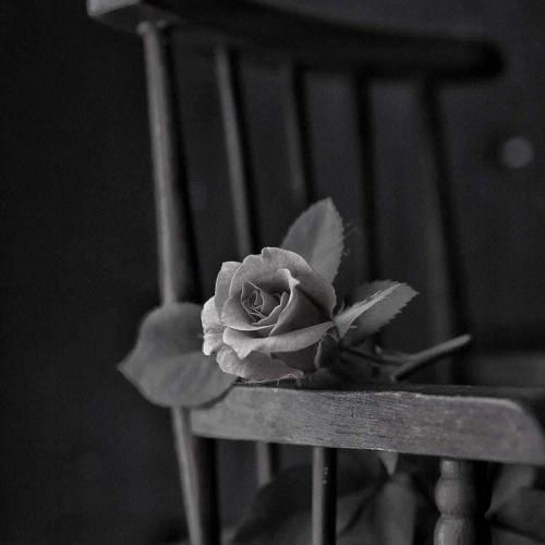  بورا میصیر یولو دی