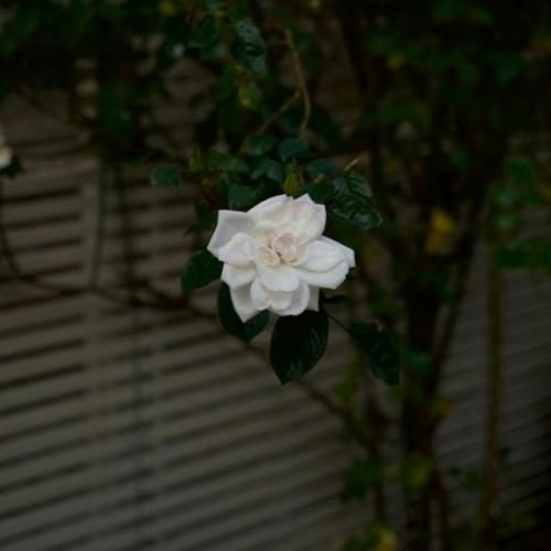  عکسای خندون میزاری خداروشکر سرحالی 