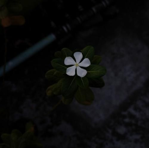  خیلی بد گذشت تو نبودی ببینی چقدر سخت گذشت