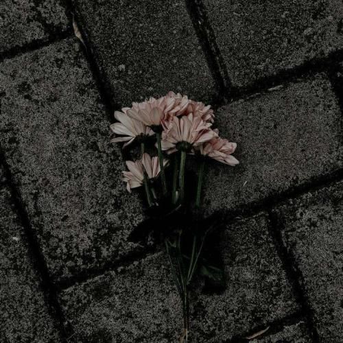  دوباره نخوابیدم افکار پریشون از در دوستی وارد میشن