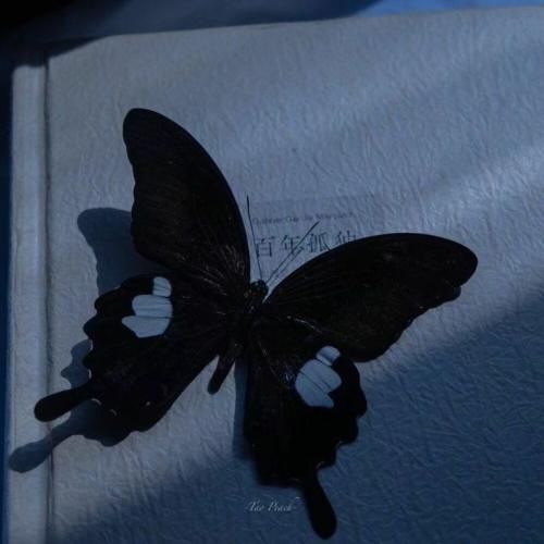  دپرسم حیرانم سیرانم خسته ام گمم