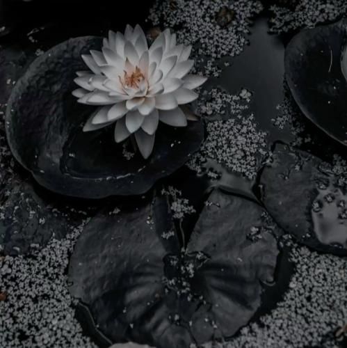  چقد میگفتم این یکی با بقیه فرق داره