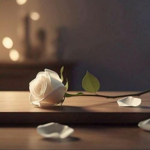 ببینم تو هم واسم دلت تنگ شده برگرد قول میدم