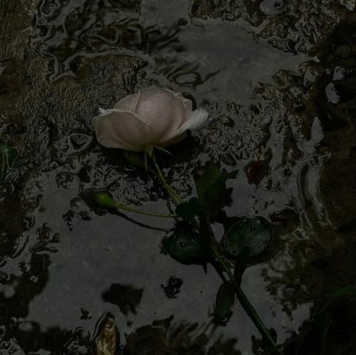  مافیا مانیتا دوتا بام بادیگارد کادیلاک مانی تاک