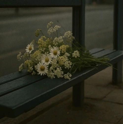  تنگ واس همون عربده ها واس همون دعوا مسخره ها