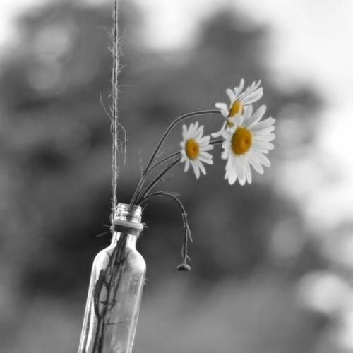  وای دمش گرم دافیه رو معطلش کرد