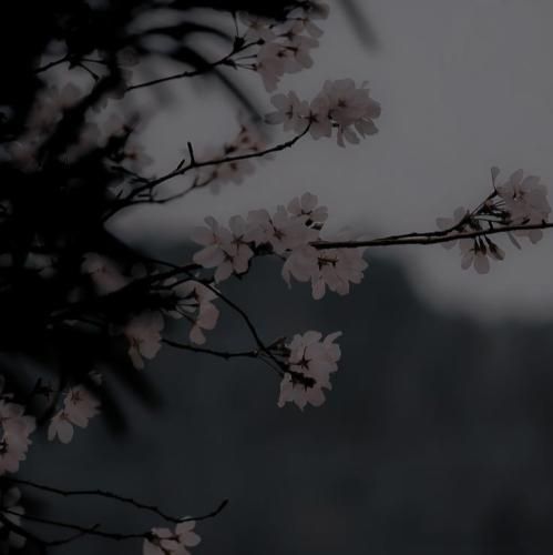 فاطمه عطایی بد هاکردی