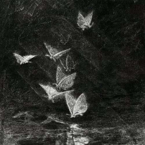  رو لب خندس ولی از تو خستم بسمه فکرای تو 