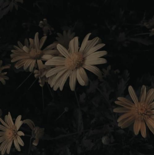  من خودم خواستم بری میدونم دندم نرم