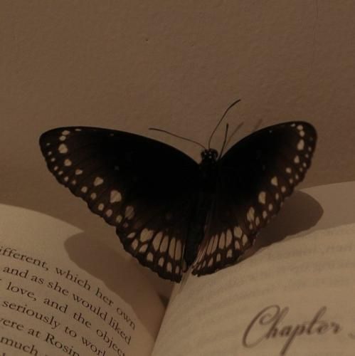  خیابونا شدن تقدیر ما توام میفتی تو