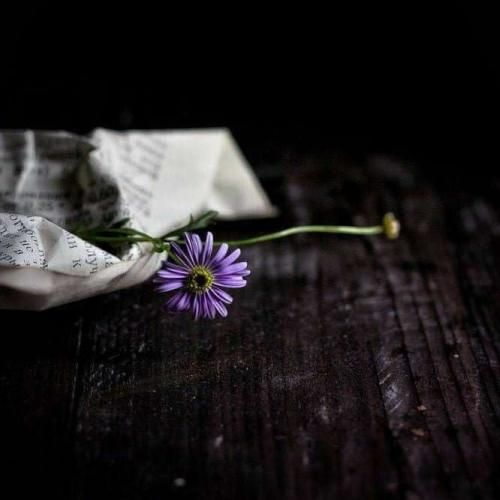  اون بهتره نیاد بزا دیگه حرفامو بشنوه الان بزار بره انگاری مسافره