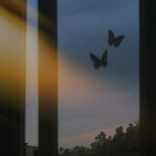  بودی نامرد نامرد نامرد نامرد چیکار کردی با من آخر نامرد