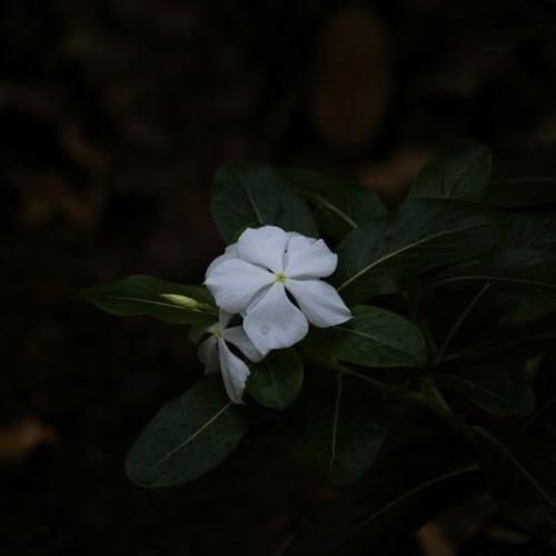  چی میگن اینا آخه ها جکوزو روشن کن بابا بدنم گرفته