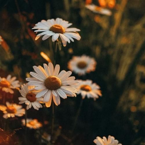  تو اون کوه بلندی که سرتا پا غروره