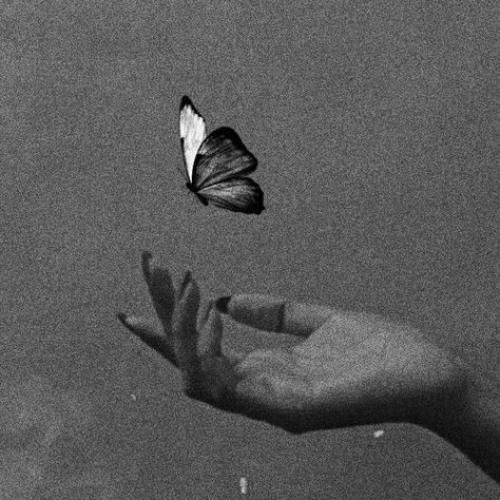  باور کن صدام و باور کن صدایی که تلخ و خسته است