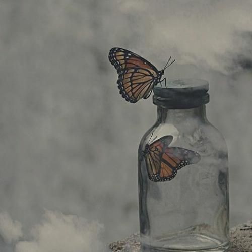  اون از قلبم خورد سیکش بلاک و ریپورت چیه