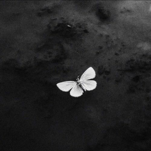  کره ای هی النا چیکار میکنی کل روز رو بدون اینکه کاری کنی نشستی