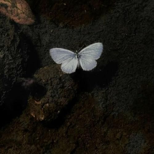  میدونم میدونم میدونم که توام منو میخواد دلت مدل منه مدلت تو