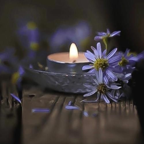 تورو تا دیدمت قلبم رفت هر کاری کردم نشد برگردم