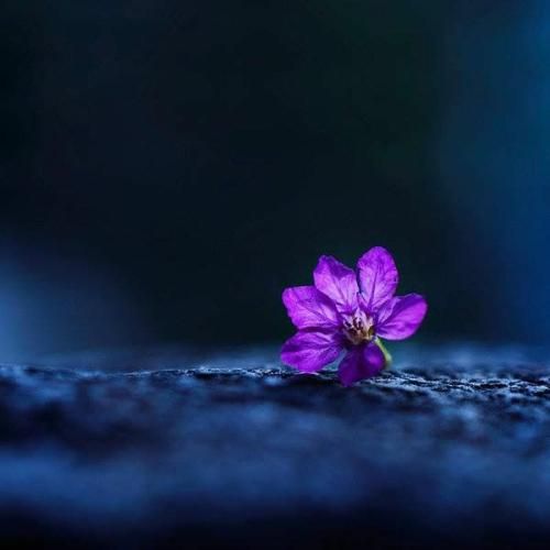 مامالی مامالی ماتانسان تو شهرو شهرو بهم میریزی