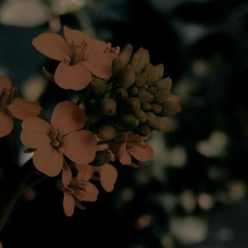  من اینجام دنبال آینه میگردی تو رقص پایی که میکردی