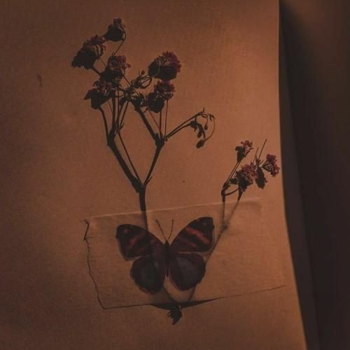  رپ کردم واسه هدف بهترم درجه یک امروز درجه یک ترم