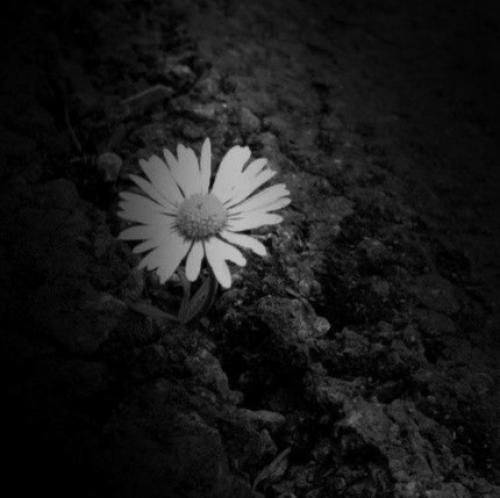  کی فور اومد بگو پشمام ریخت خیابون میام