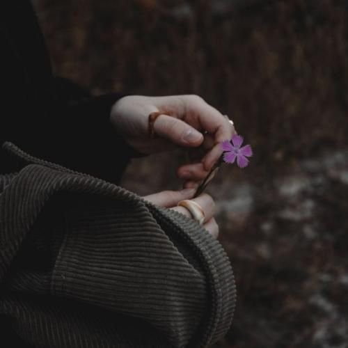 بابا پرپر شدم منو جمعم کن روزامم شد