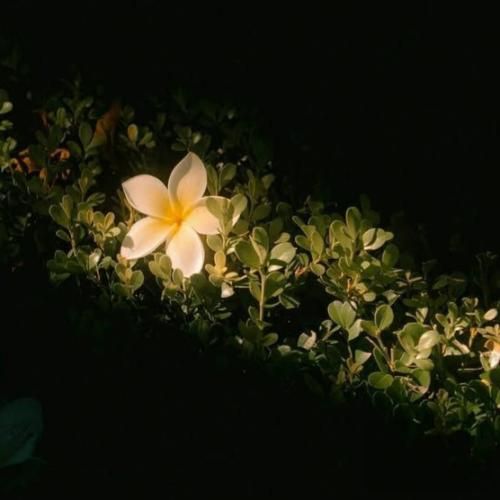  یجور دیگه شدی ببین زدی به خودی یه روانی مودی