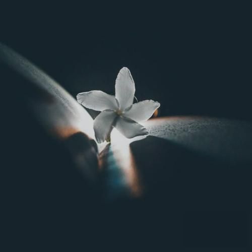 نمیگیرم بغلت نمیگم به اینا چی سرم اومد بعدت